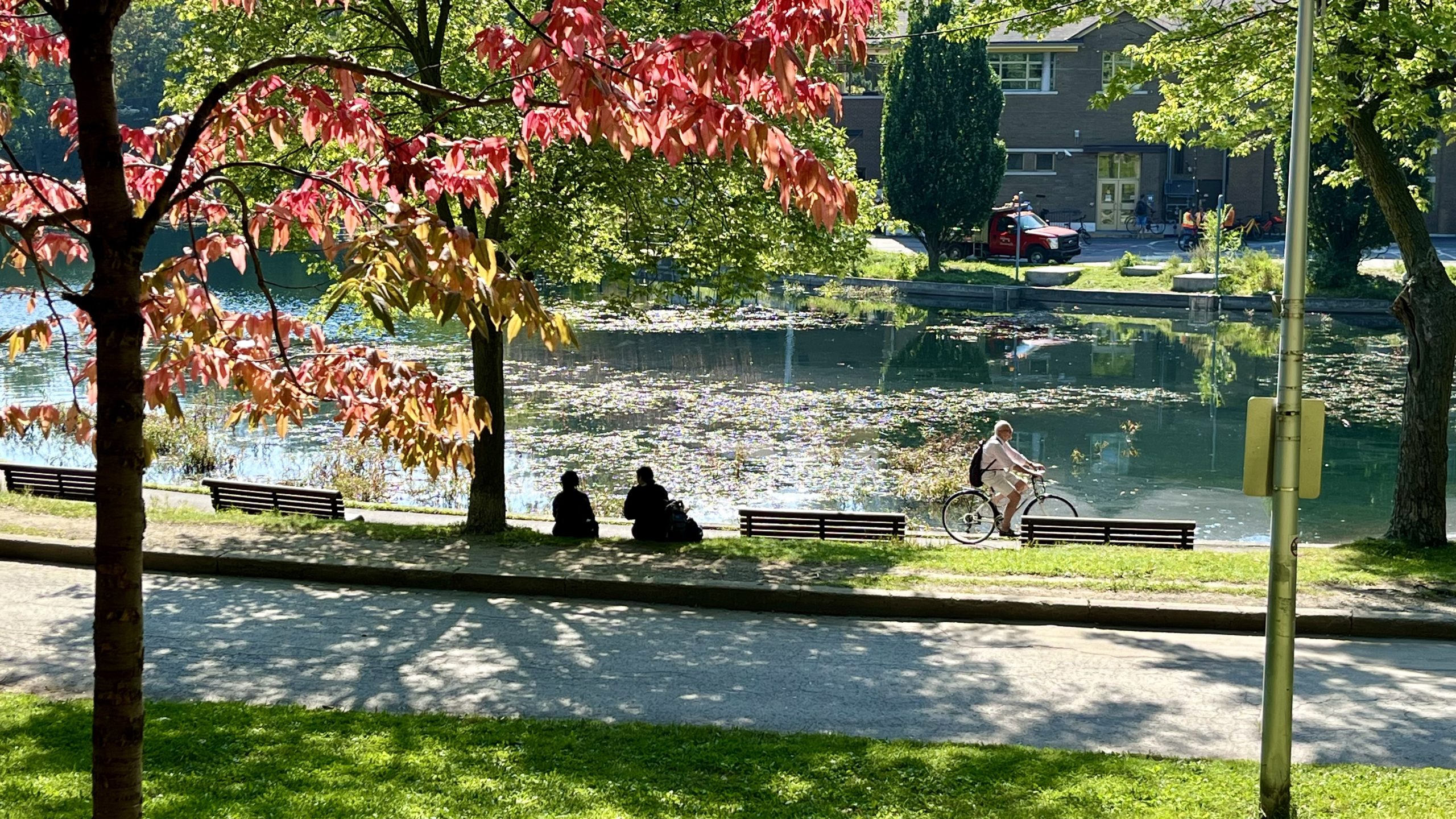 Experience Quebec Summer: Montreal Jazz & Culture Tips